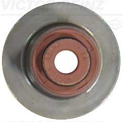 Seal Ring, valve stem